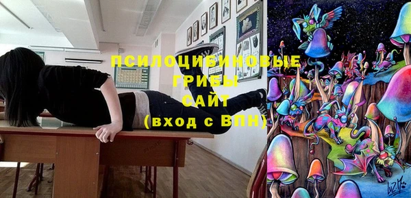 мдпв Богданович