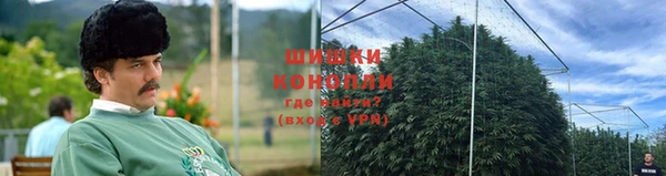 тгк Богородицк