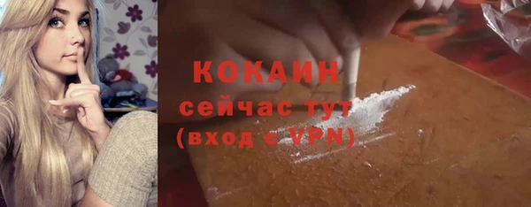 сатива Богородск