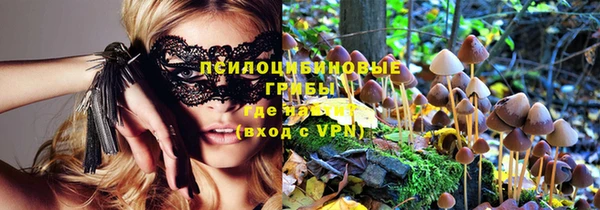 тгк Богородицк