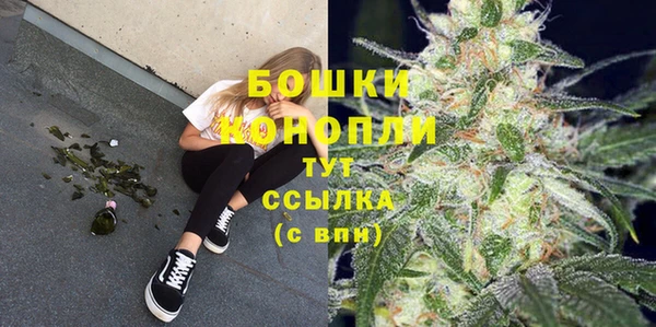 мдпв Богданович