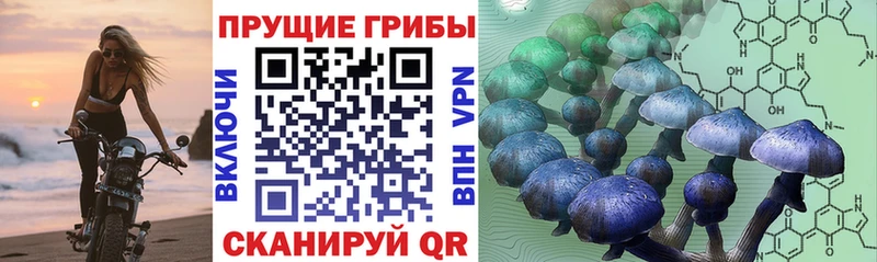 Галлюциногенные грибы ЛСД  Колпашево 